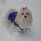 La sua prima volta nella neve