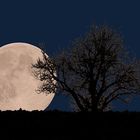 La super lune du 7 avril dans ma campagne