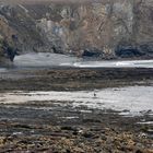 La surfeuse et la nature