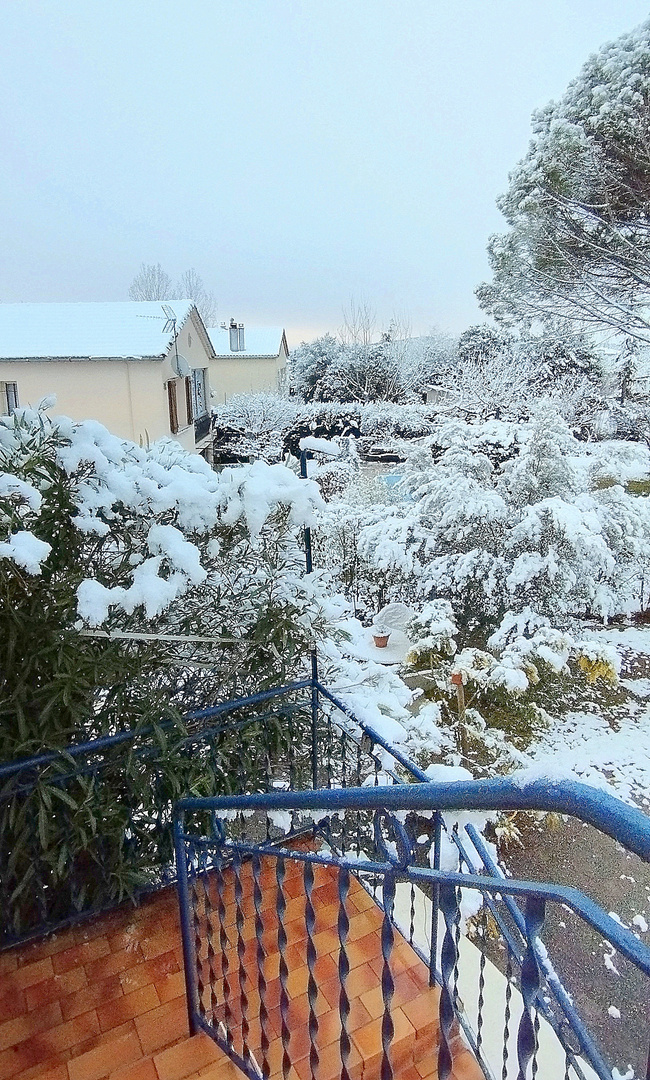 La surprise de lundi matin !