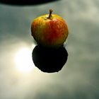 la table aux pommes