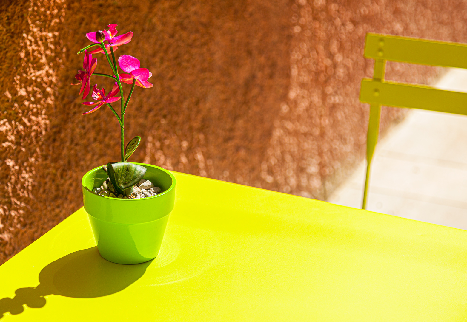 La table et la fleur