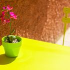 La table et la fleur