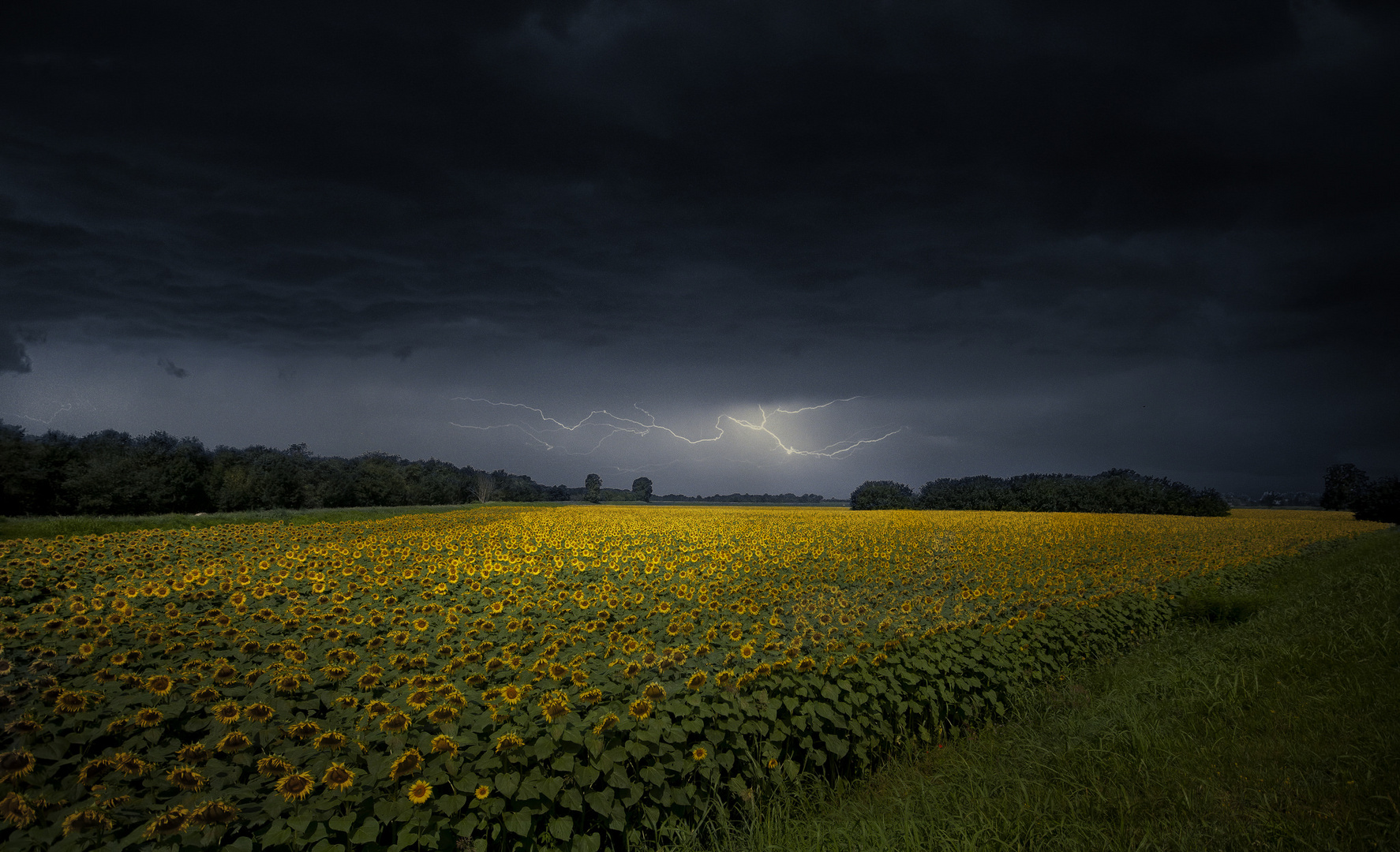 LA TEMPESTA PERFETTA...