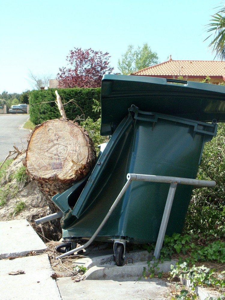 la tempete KLAUS dans le sud ouest