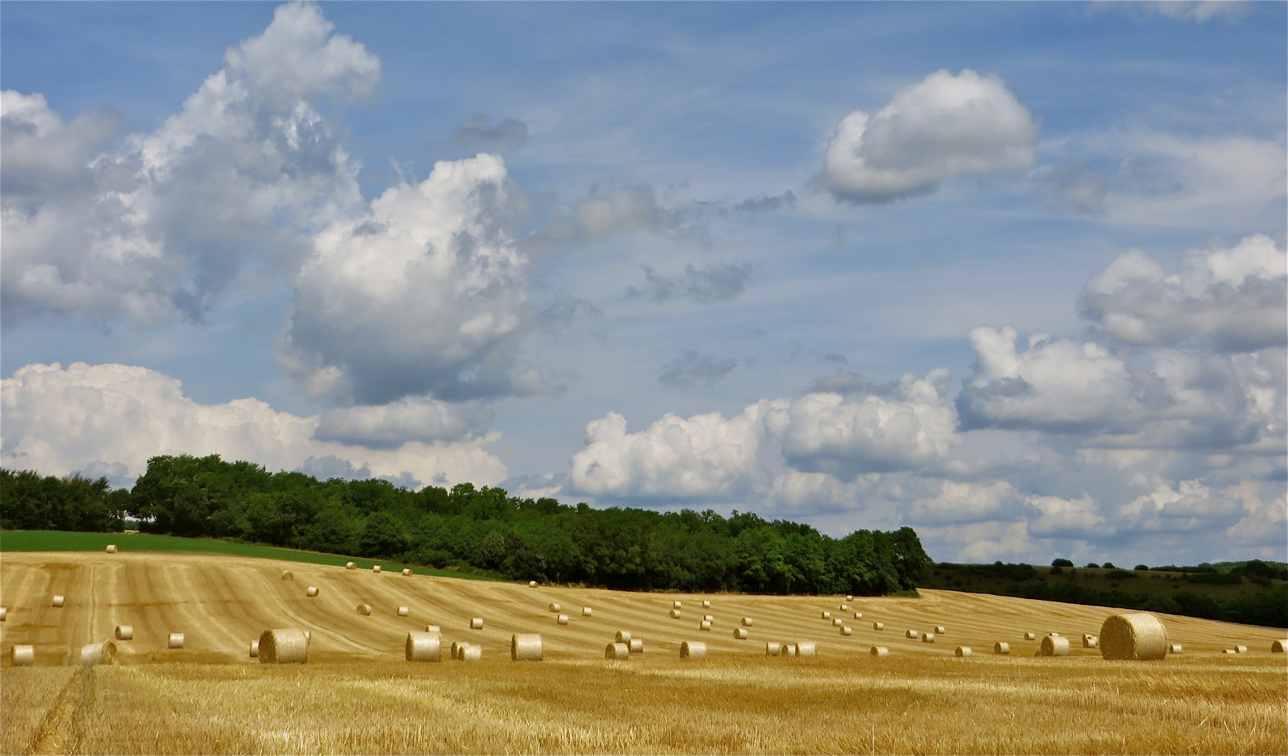 ...la temps de la moisson !!!..