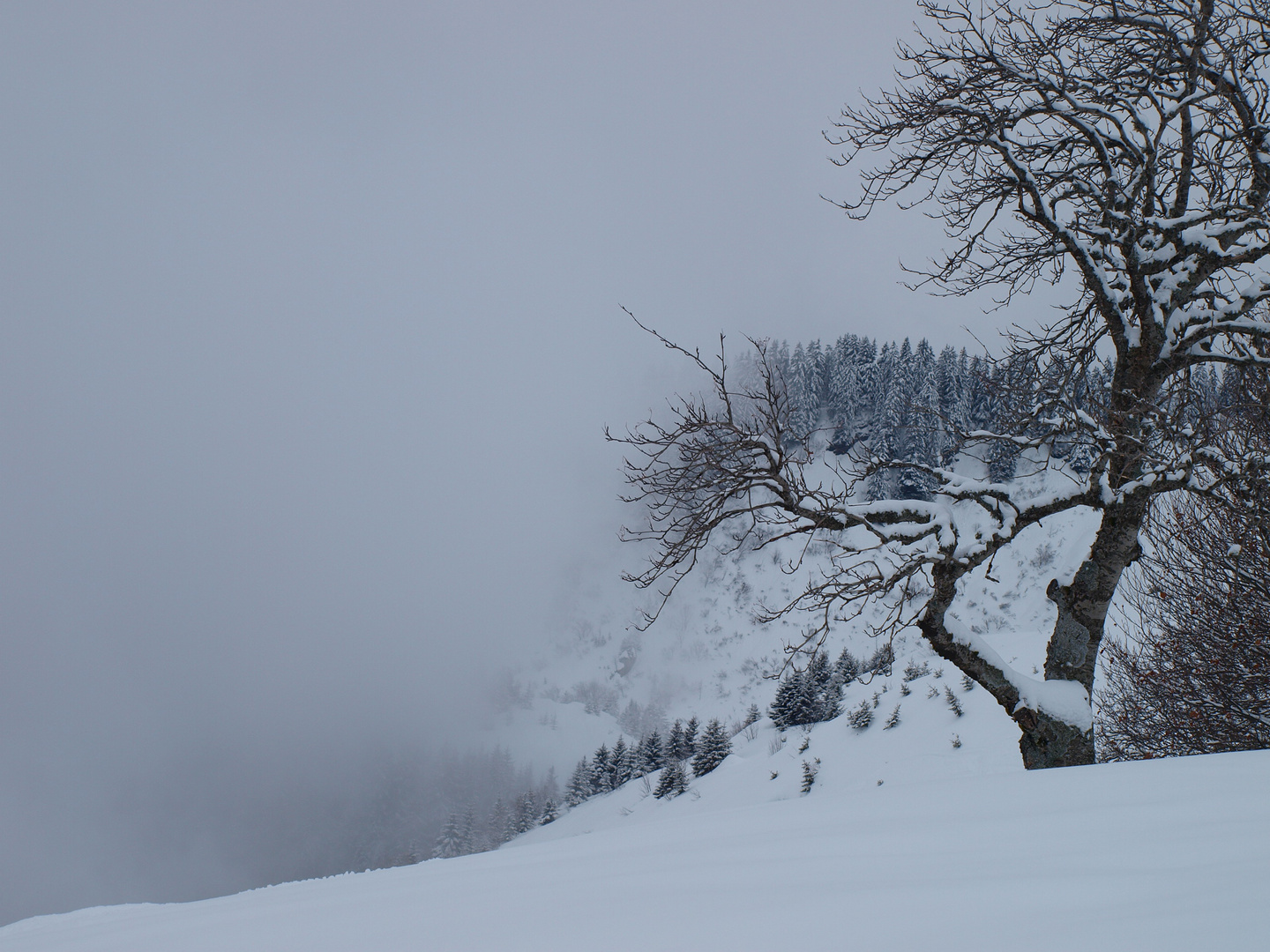 la tempête arrive...?