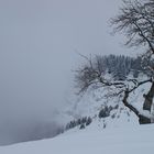 la tempête arrive...?