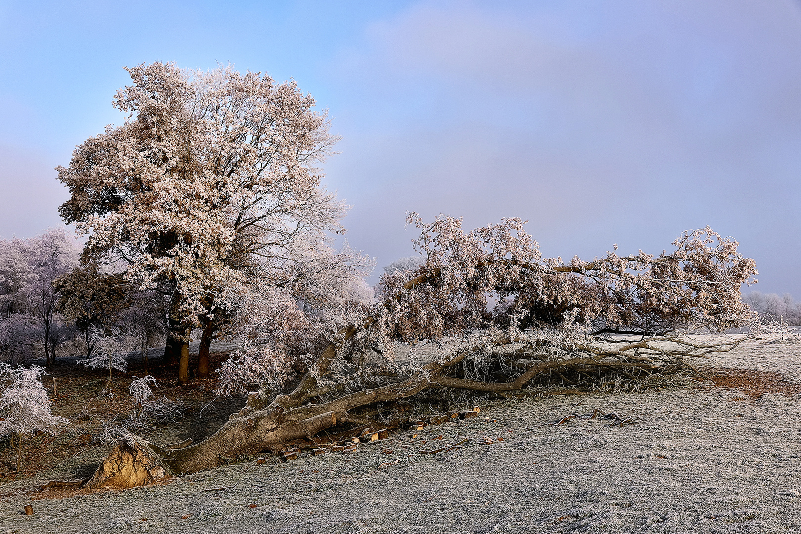 La tempête est passée par là