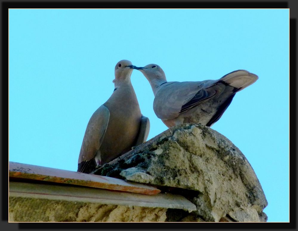 *la tendresse*