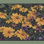 fleurs et plantes