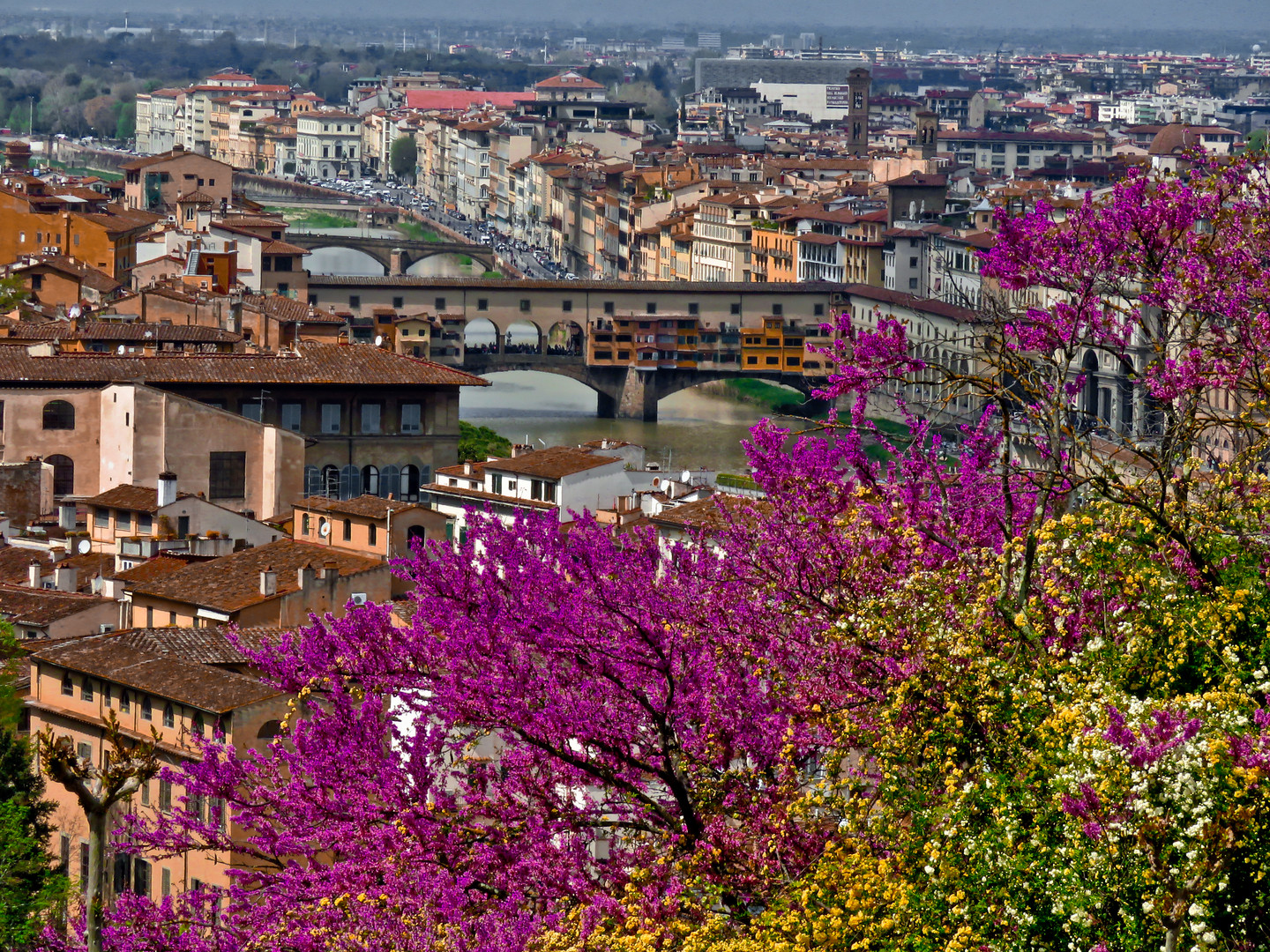 la terrazza del mondo 