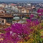 la terrazza del mondo 