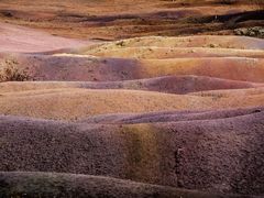 la-terre-aux-7-couleurs - Atelier du 31- 08 - 2018 