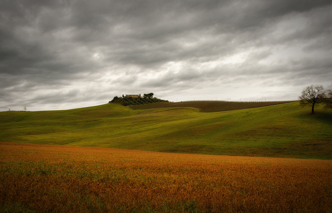 La terre de Siena....