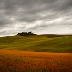 La terre de Siena....