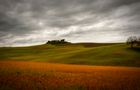 La terre de Siena.... von Paolo Vannucchi 