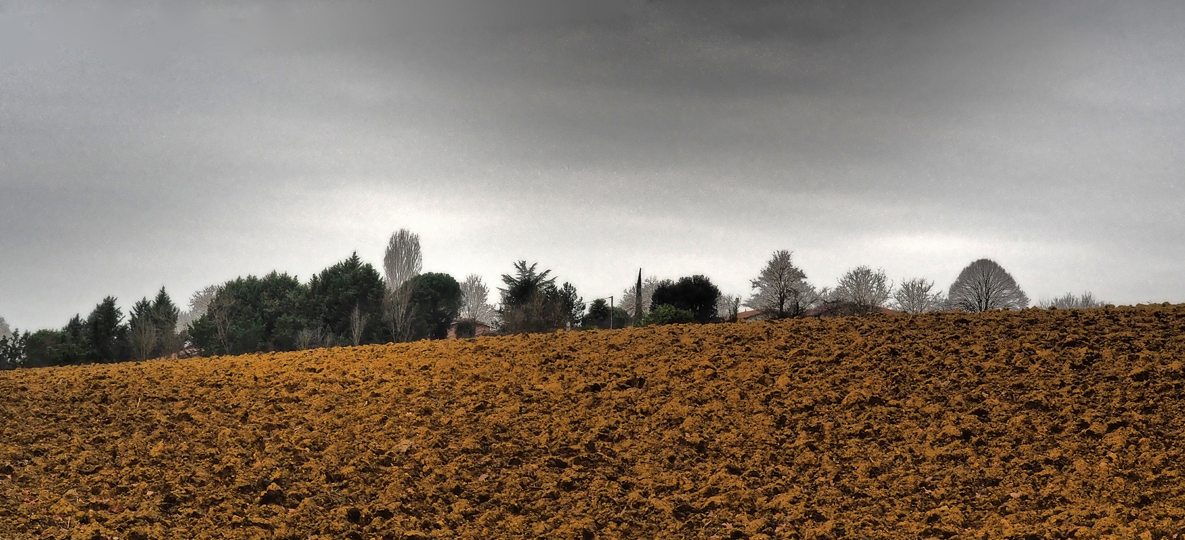 La terre gersoise en repos hivernal