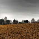 La terre gersoise en repos hivernal