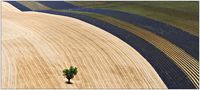 La terre vue du ciel de djanet 