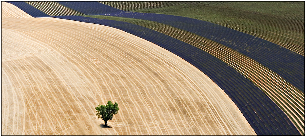 La terre vue du ciel by djanet 