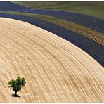 La terre vue du ciel