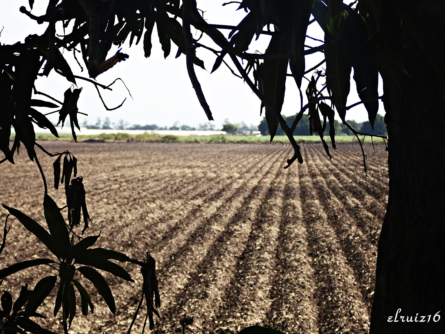 La Tierrita.