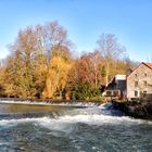 La Tille au Vieux Moulin à Lux 21