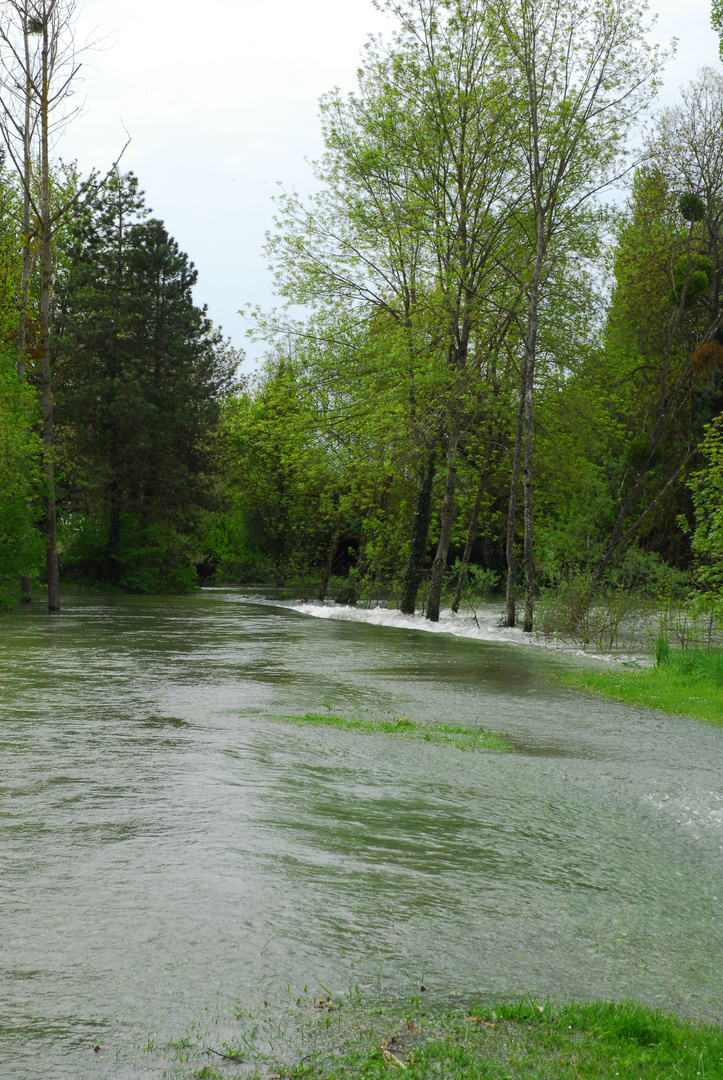 La Tille en crue (Bourgogne)