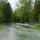 La Tille en crue (Bourgogne)