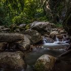 La Tine de Conflens