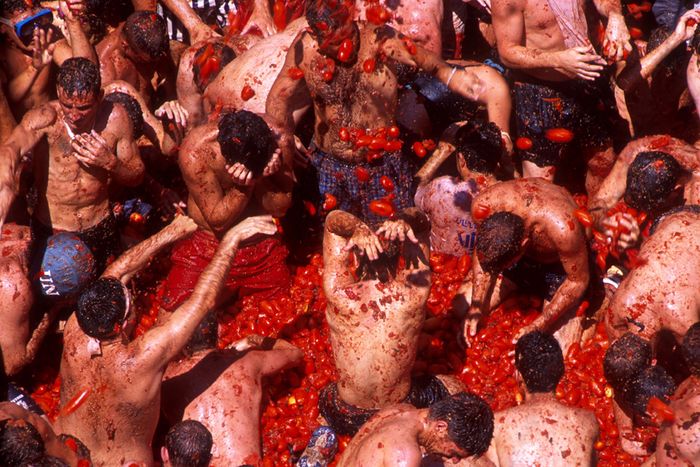 La Tomatina Festival