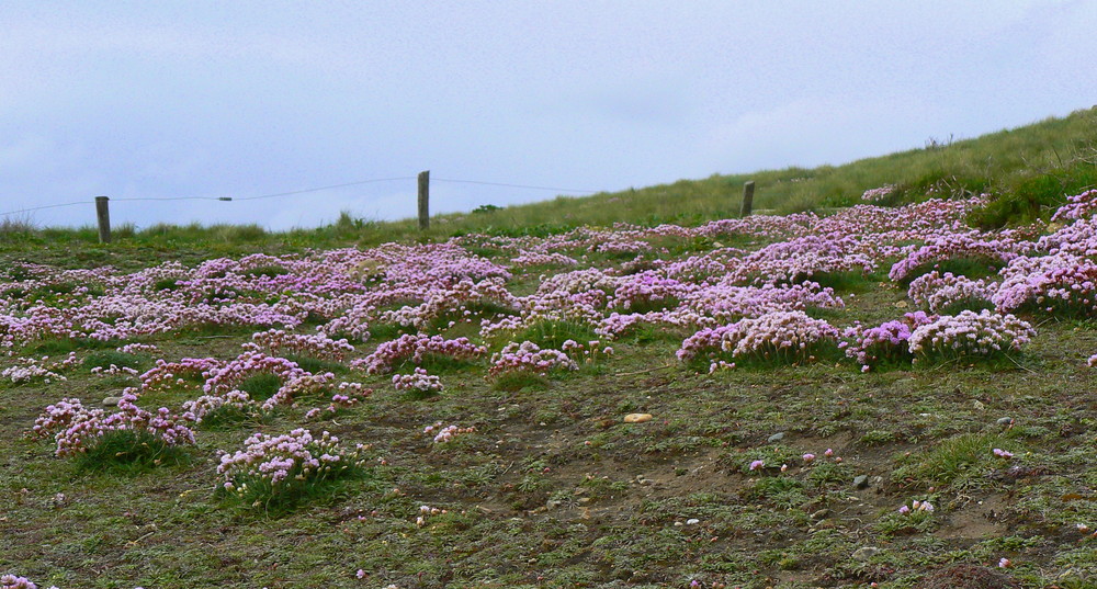 La Torche (Finistère) -