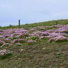 La Torche (Finistère) -