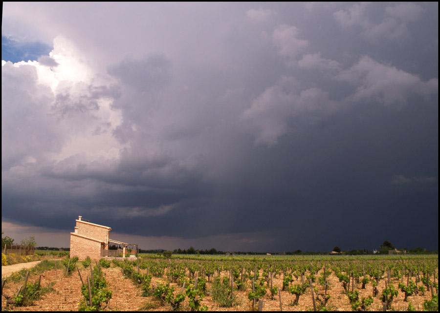 - La Tormenta -