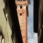 La Torre Alberata Palazzo Guinigi LUCCA