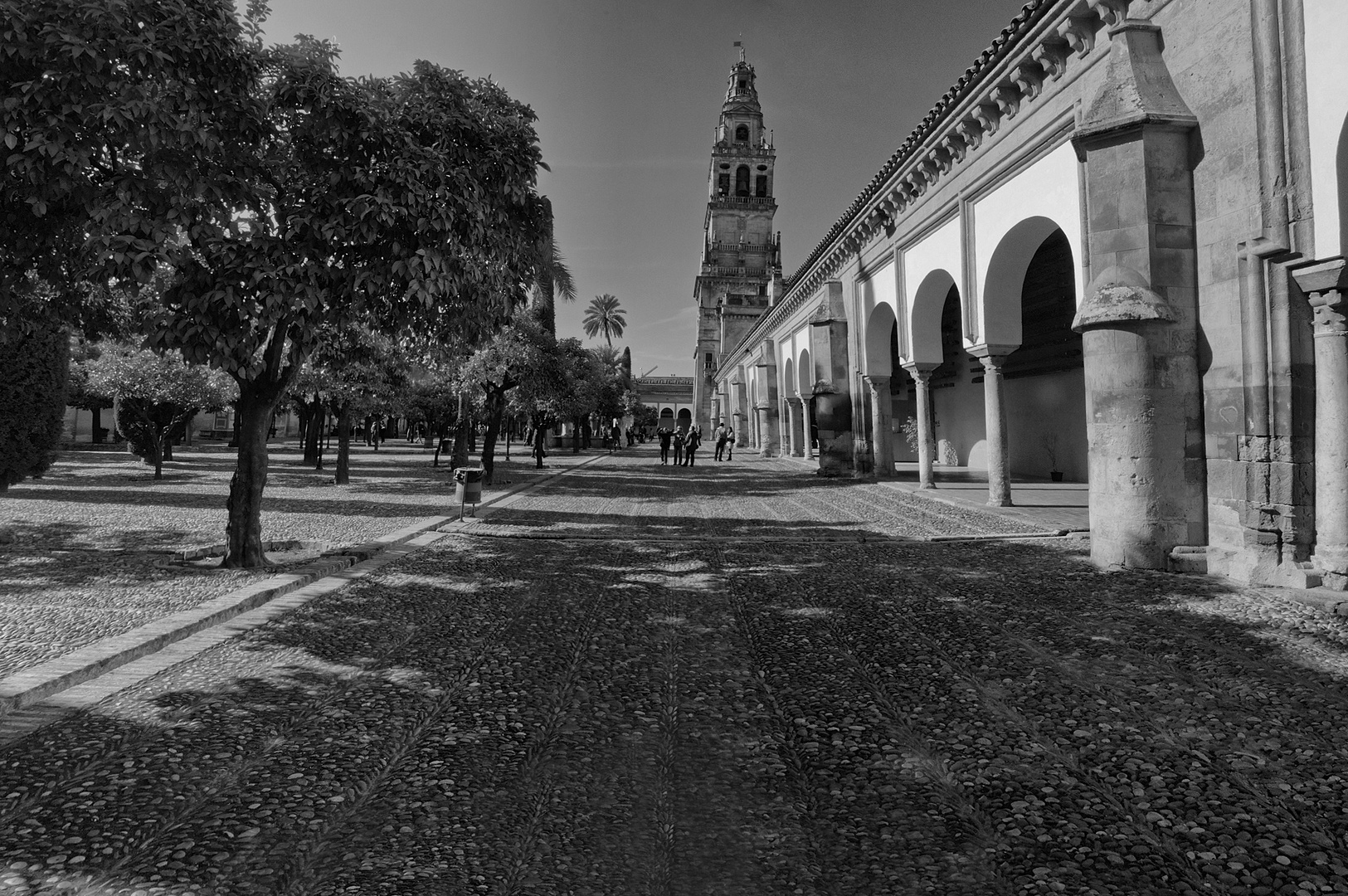 LA TORRE DE LA MEZQUITA-CATEDRAL( Una mirada interior)