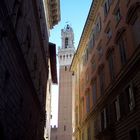 LA TORRE DEL MANGIA A SIENA