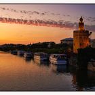 La Torre del Oro