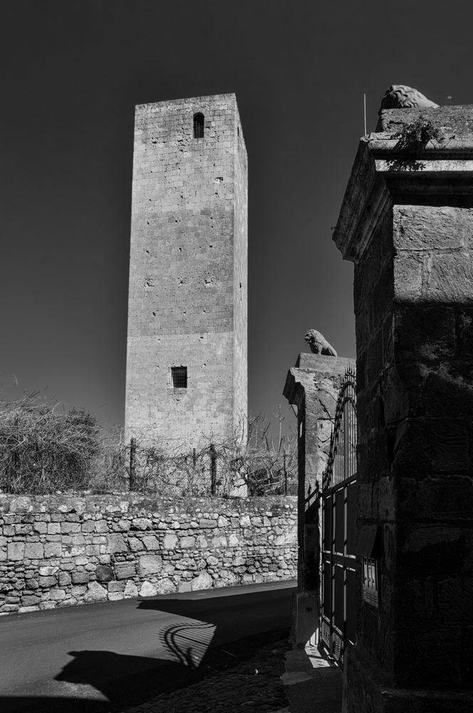 La Torre e i due leoni