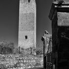 La Torre e i due leoni