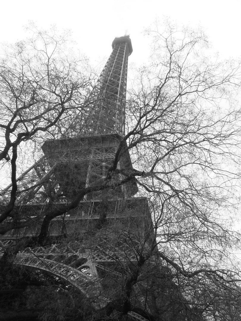 La Torre Eiffel, se hace ver...