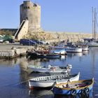 La Torre im Hafen von Marciana Marina