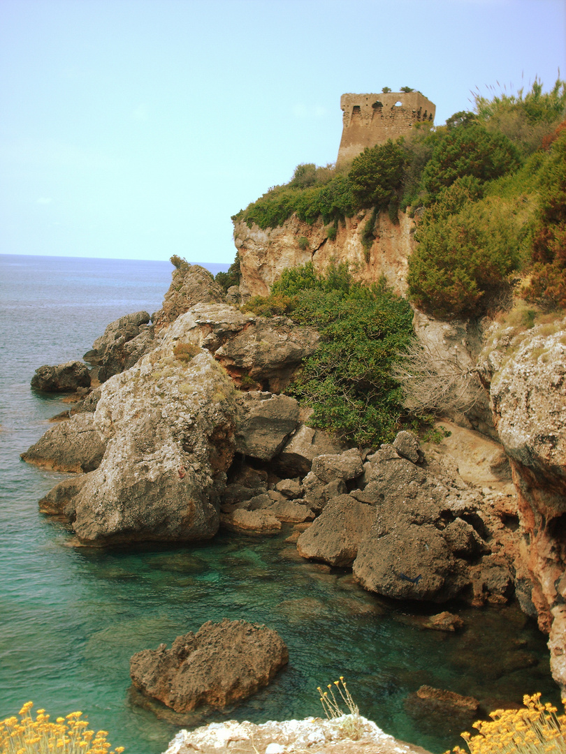 la torre sul mare