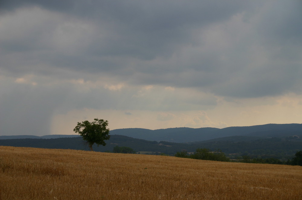 la toscana