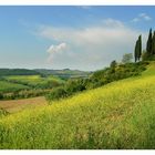 LA TOSCANE