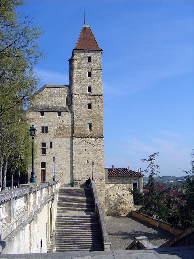 La Tour d’Armagnac  -  Auch (XVème)