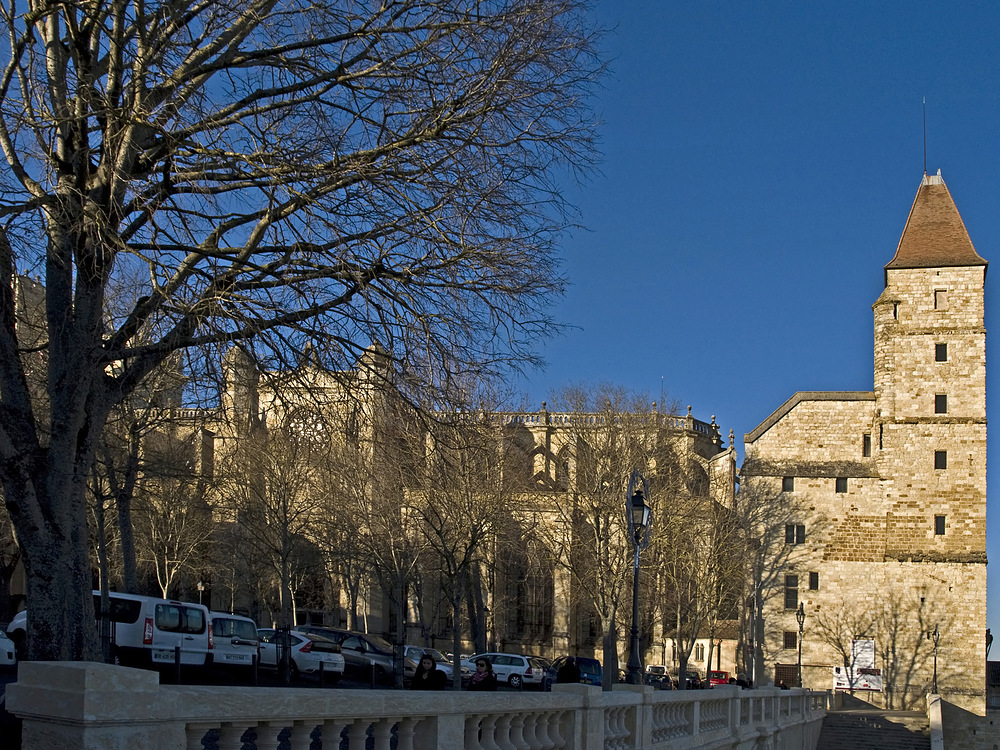 La tour d’Artagnan et la cathédrale Sainte-Marie d’Auch à travers les branchages d’hiver.