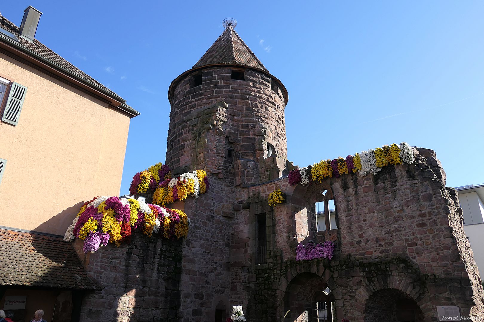 la tour des Cigognes fleurie............