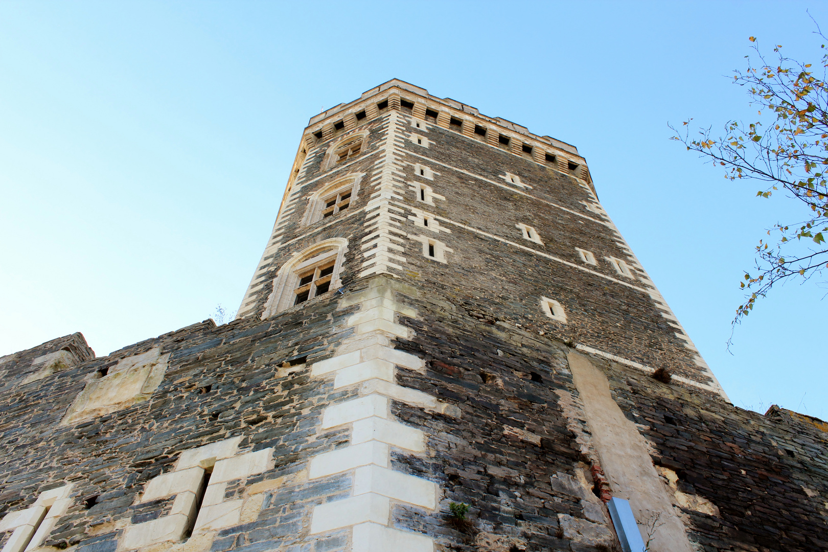 La tour d'Oudon